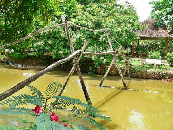 monkey bridge.jpg