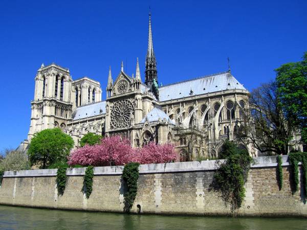 notre dame.jpg