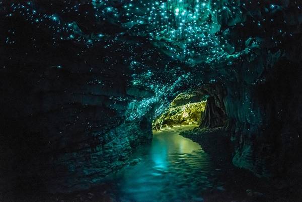 waitomo-glowworm-caves-nz-m.jpg