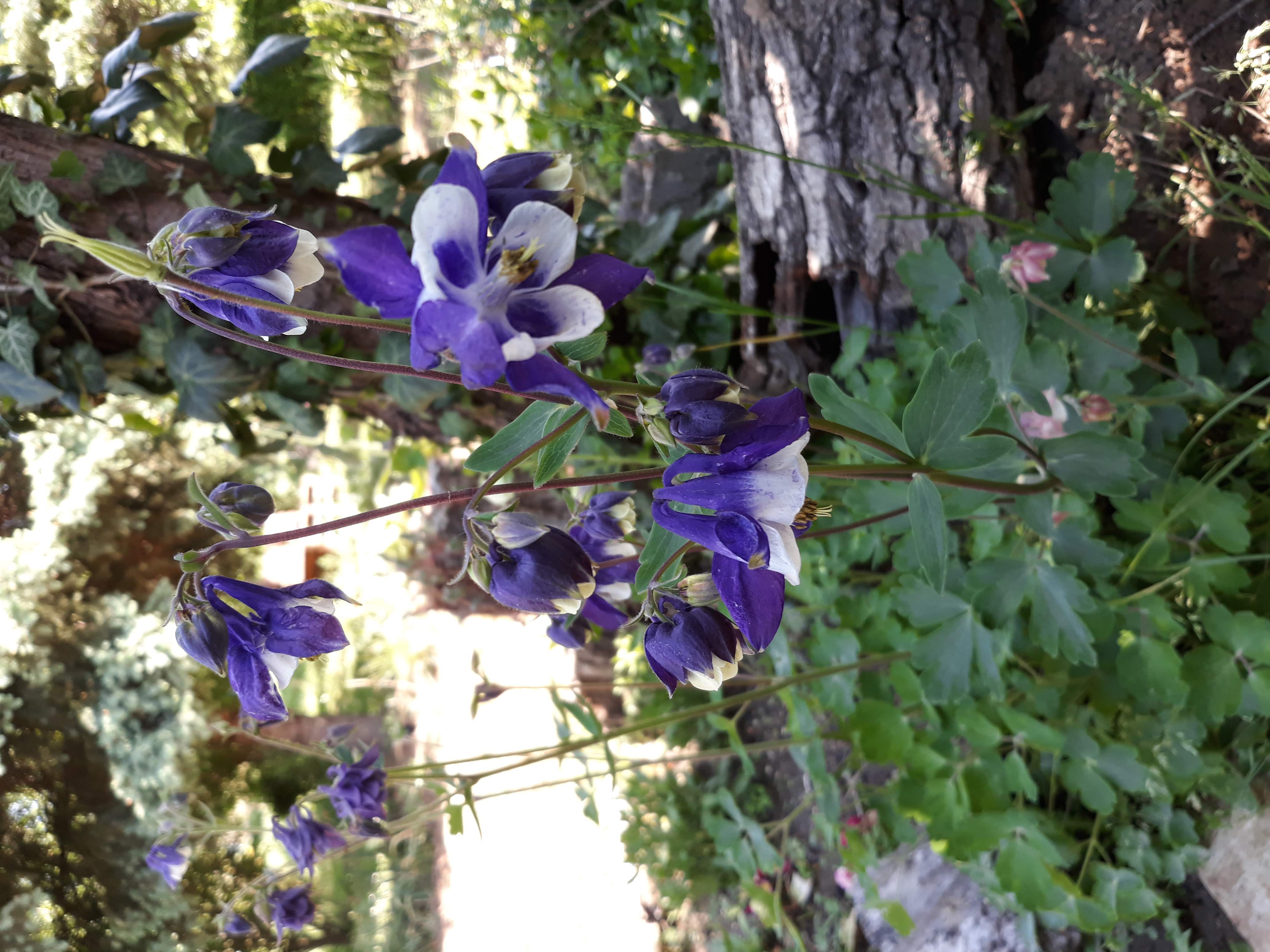 20200509_100054.jpg