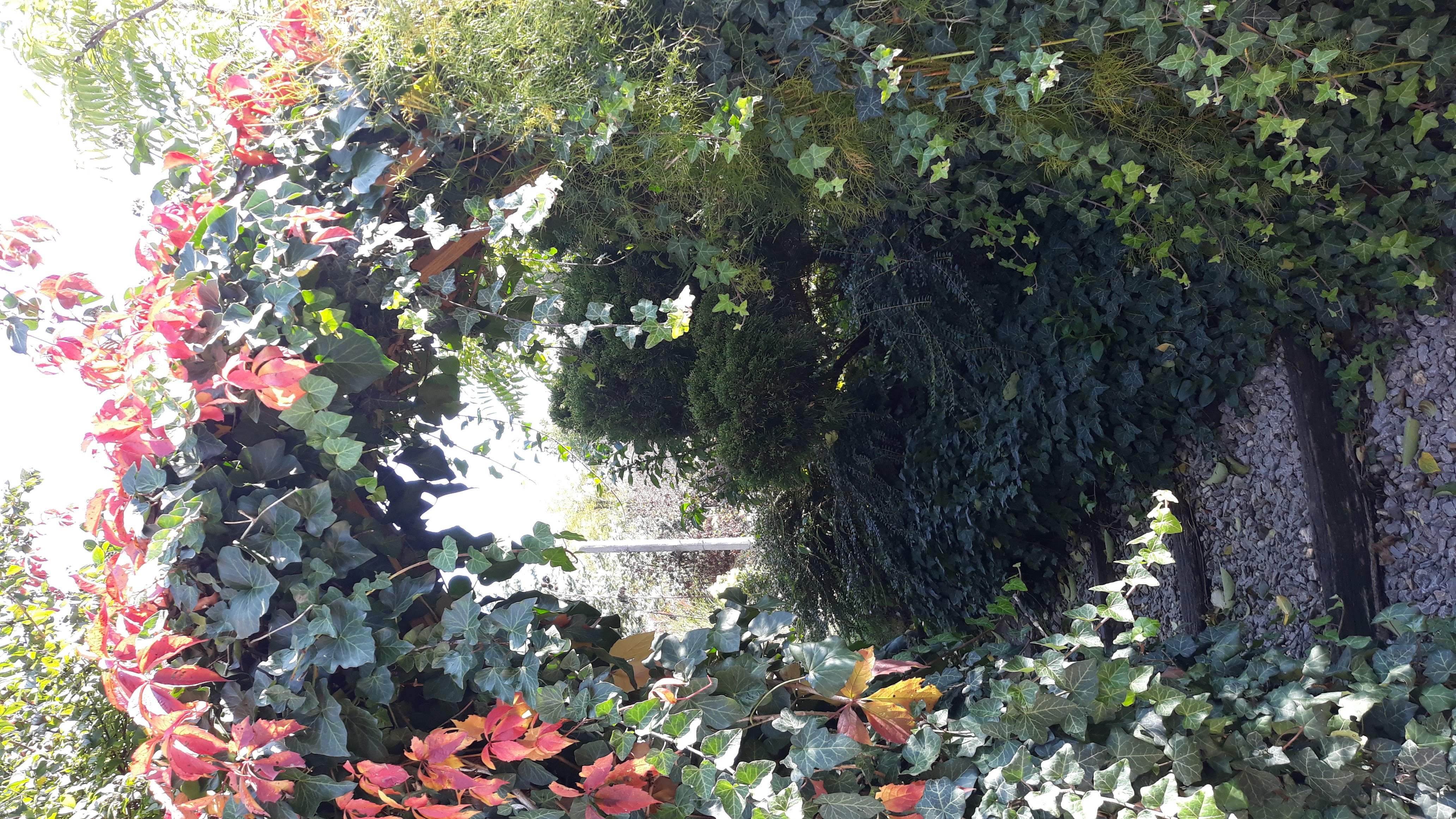 20201026_104825.jpg