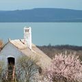 Közeledik a legszebb tavaszi program! Célpontunk: Balatonakali