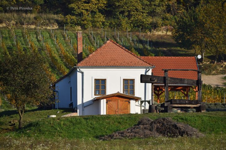 A Sabar Borház és környezete