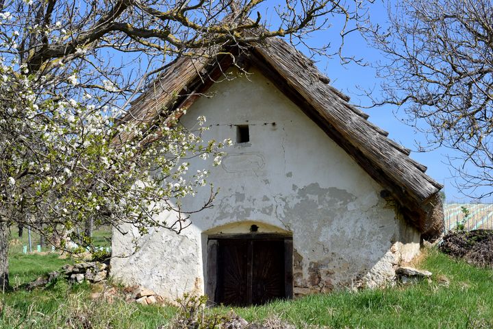 Az örvényesi Ther-pince