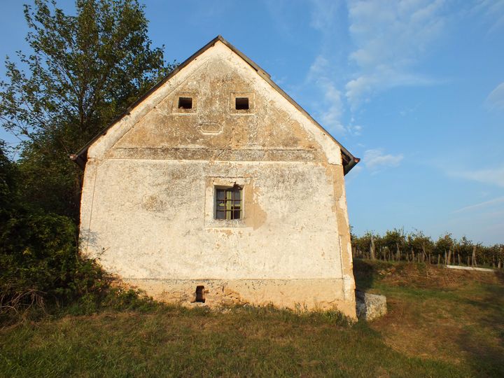 A Szűcs-domb öreg pincéje