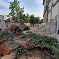 Viharkárok Nagyváradon (VIDEÓVAL)