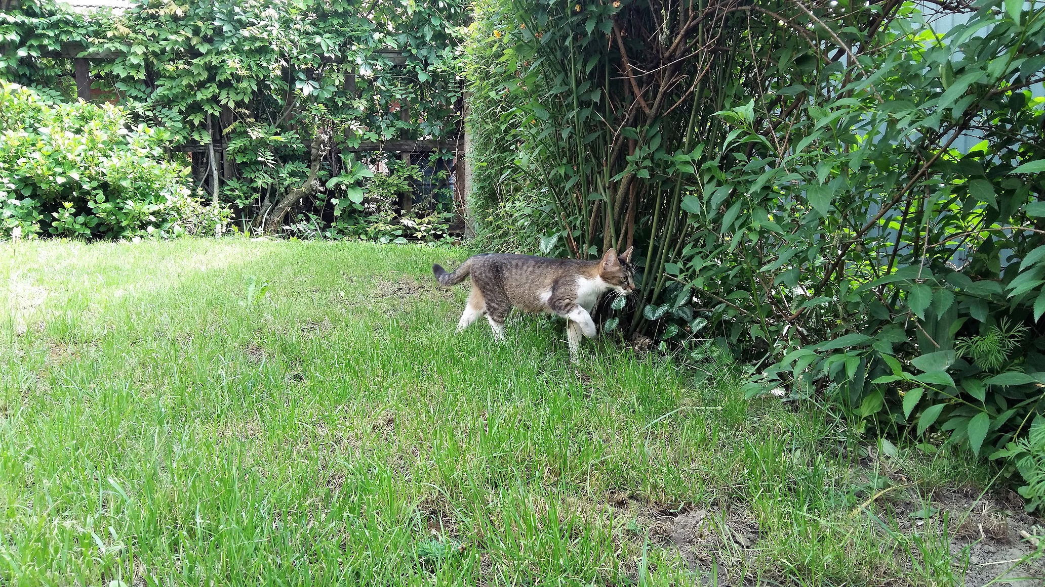 20190521_160930.jpg