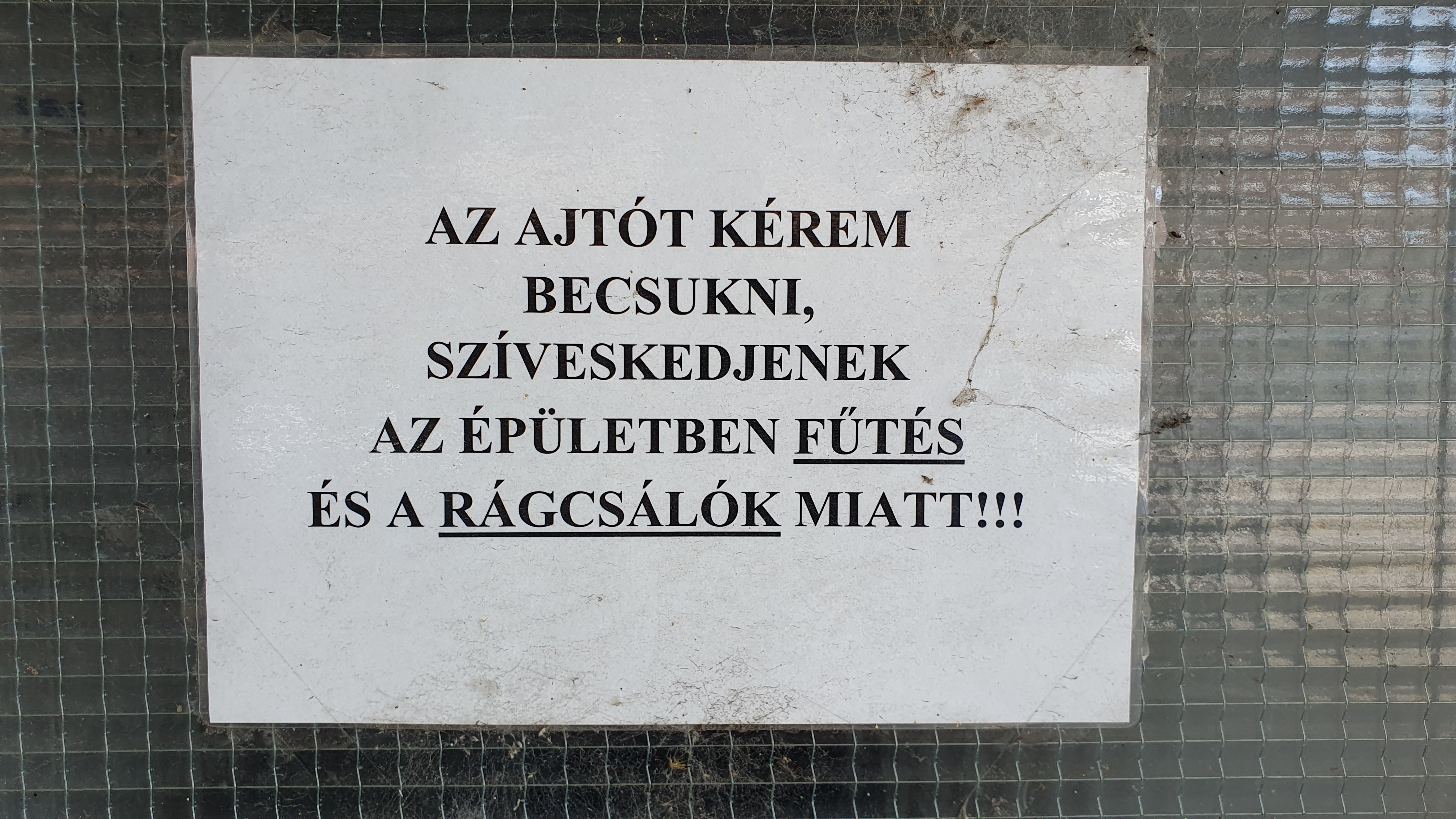 20250622_135146.jpg