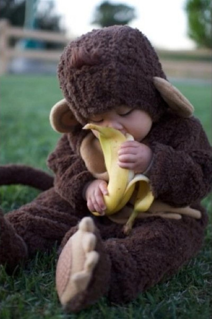 jelmez majom banan.jpg