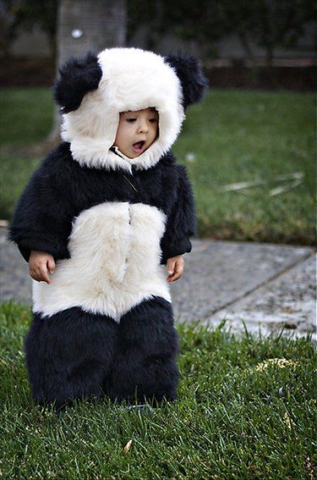 jelmez panda baby.jpg