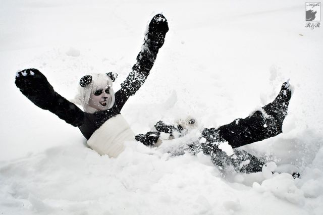 jelmez panda2.jpg