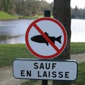 sauf en laisse