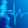 Mi történik a testedben hosszan tartó intenzív edzés során?