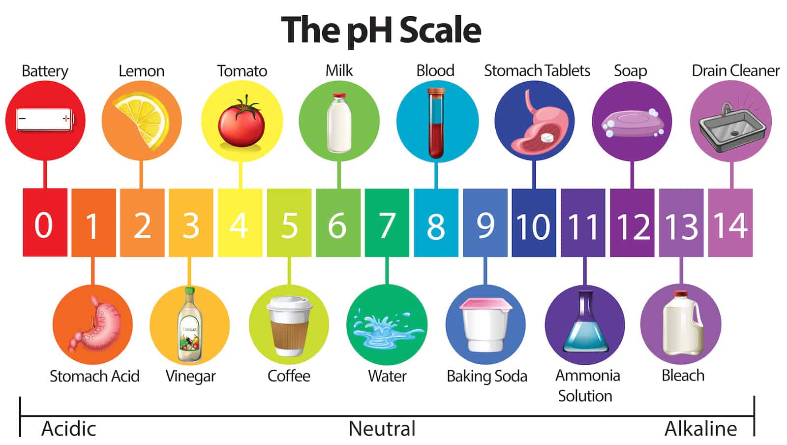ph-scale.jpg