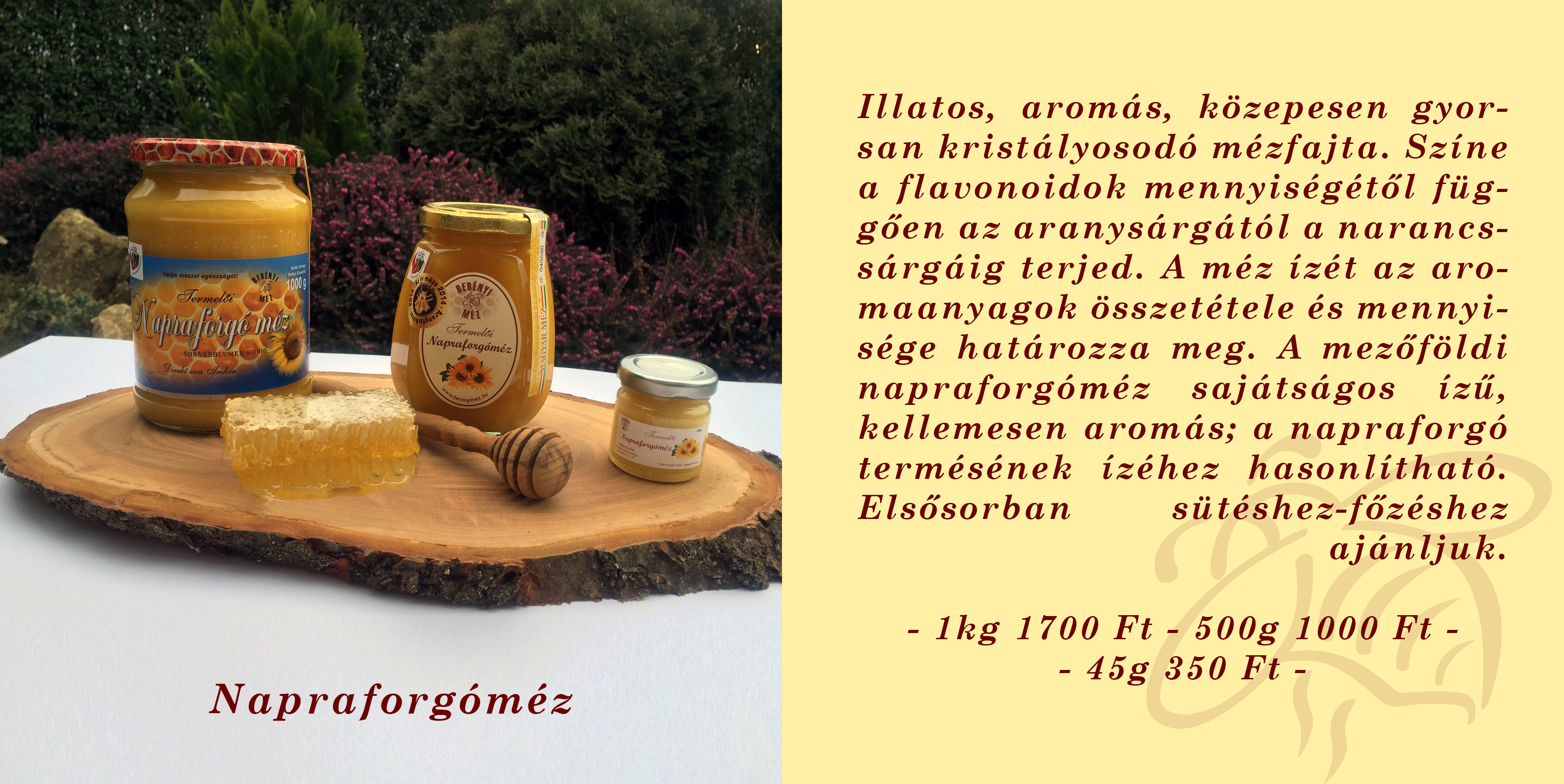 08napraforgo.png