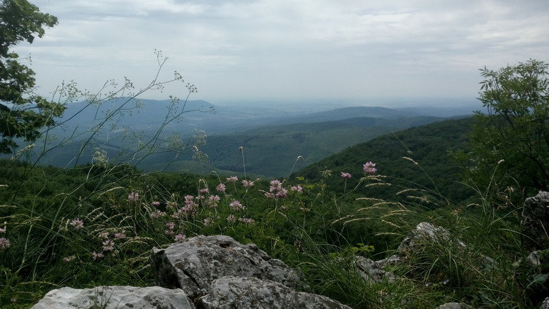 IMG 20180616 125713