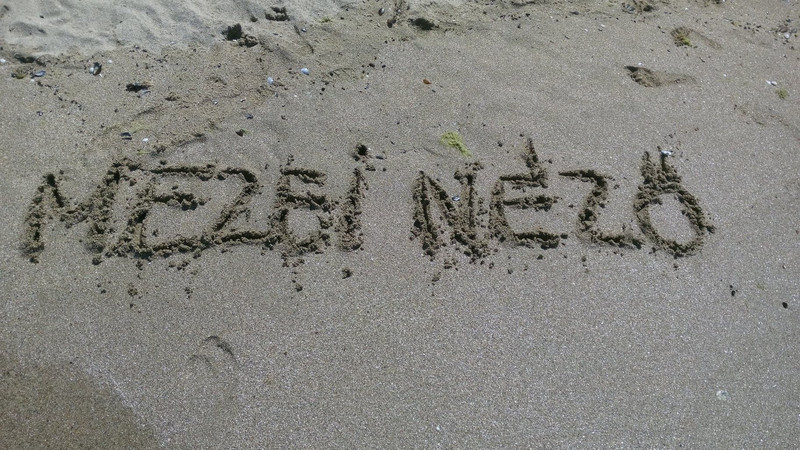 mezei néző homokkal