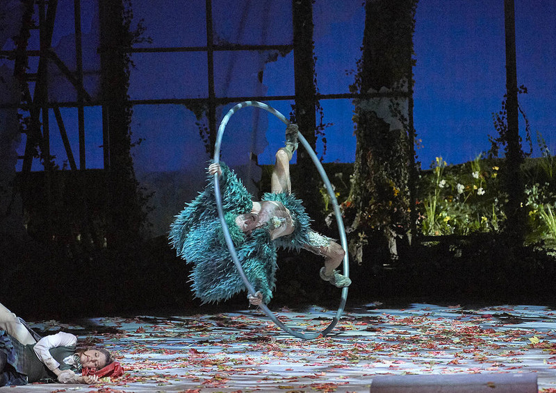 csm 13 A Midsummer Nights Dream 123024 TOUVET 2bb5400b62