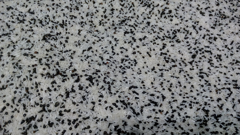 IMG 20191028 102609