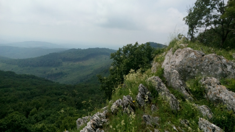 IMG 20200627 120952