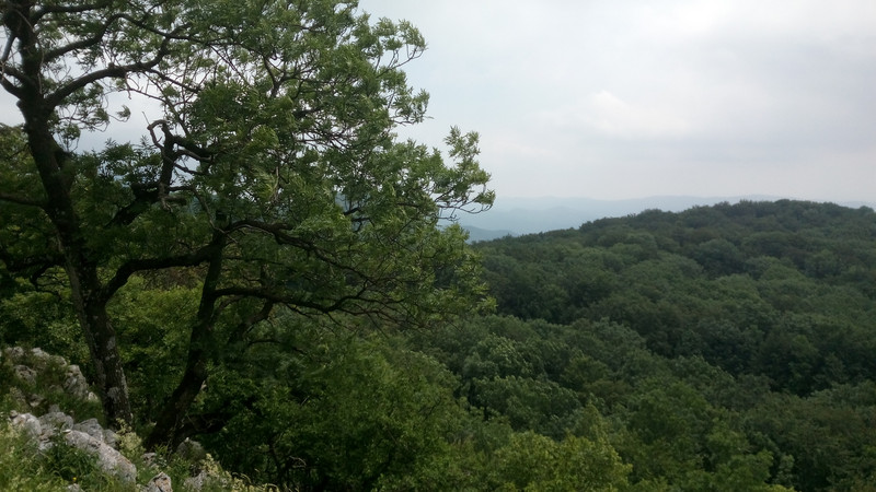 IMG 20200627 120957