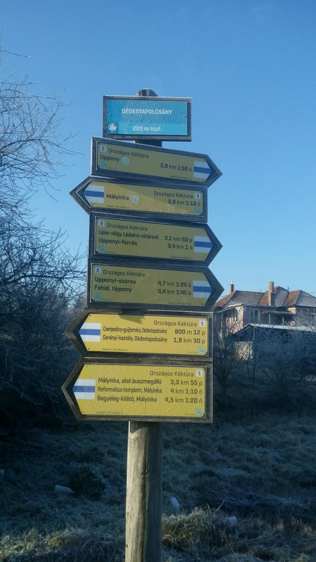 Kék17