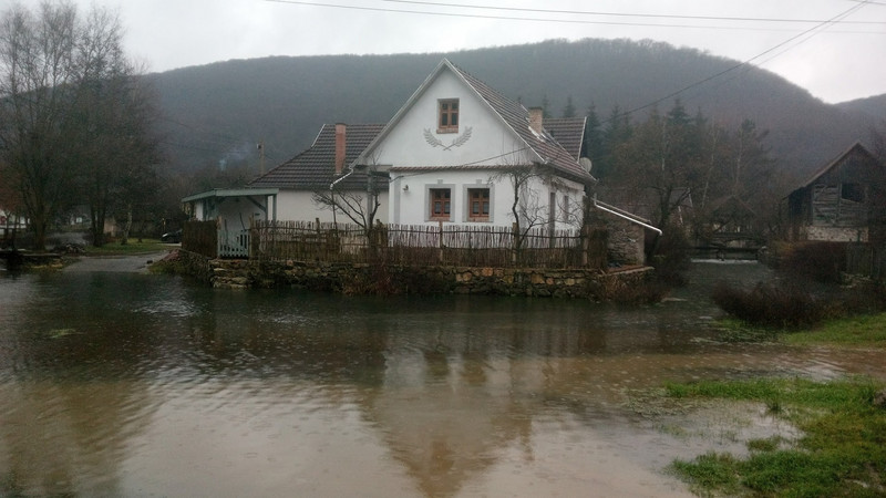 Kék19