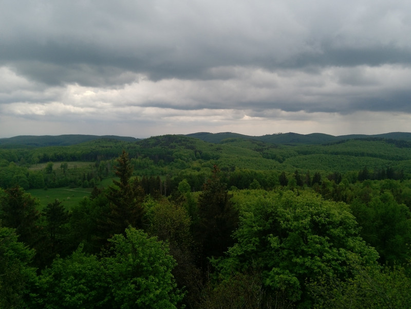 IMG 20210529 122957