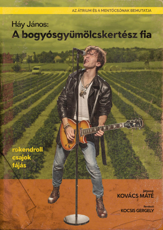 bogyó4