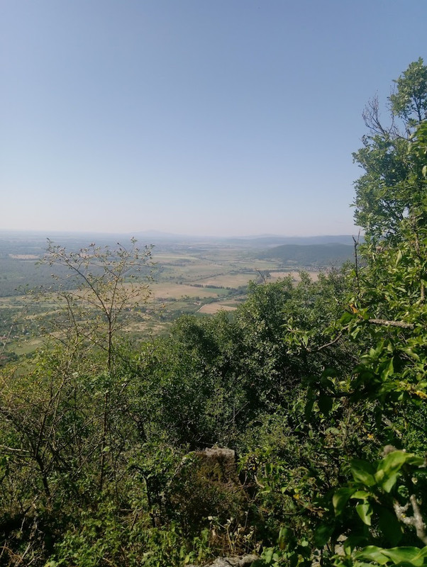 bozótos Saújhely