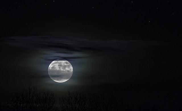 moonlight-1226253_640.jpg