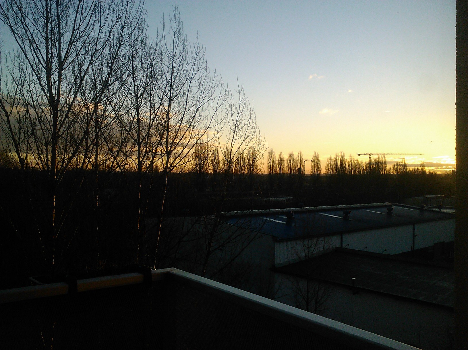 wp_002072.jpg