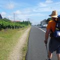 Camino Portugués 12.nap - Pontevedra-Caldas de Reis 24km