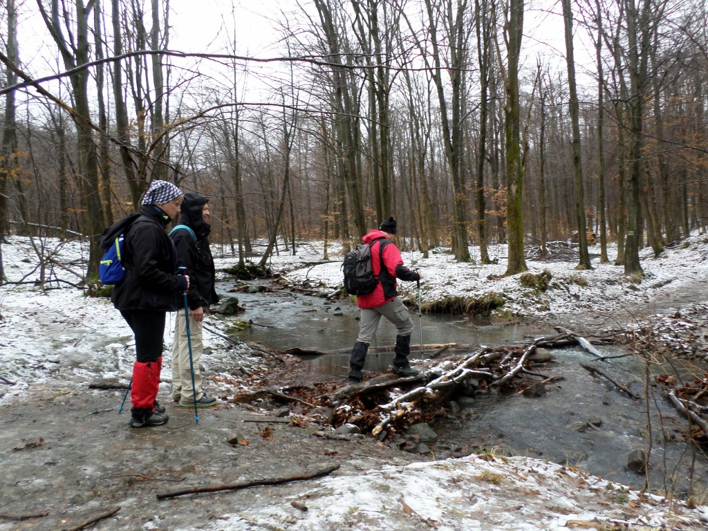 kepatmeretezes_hu_sam_7945.JPG
