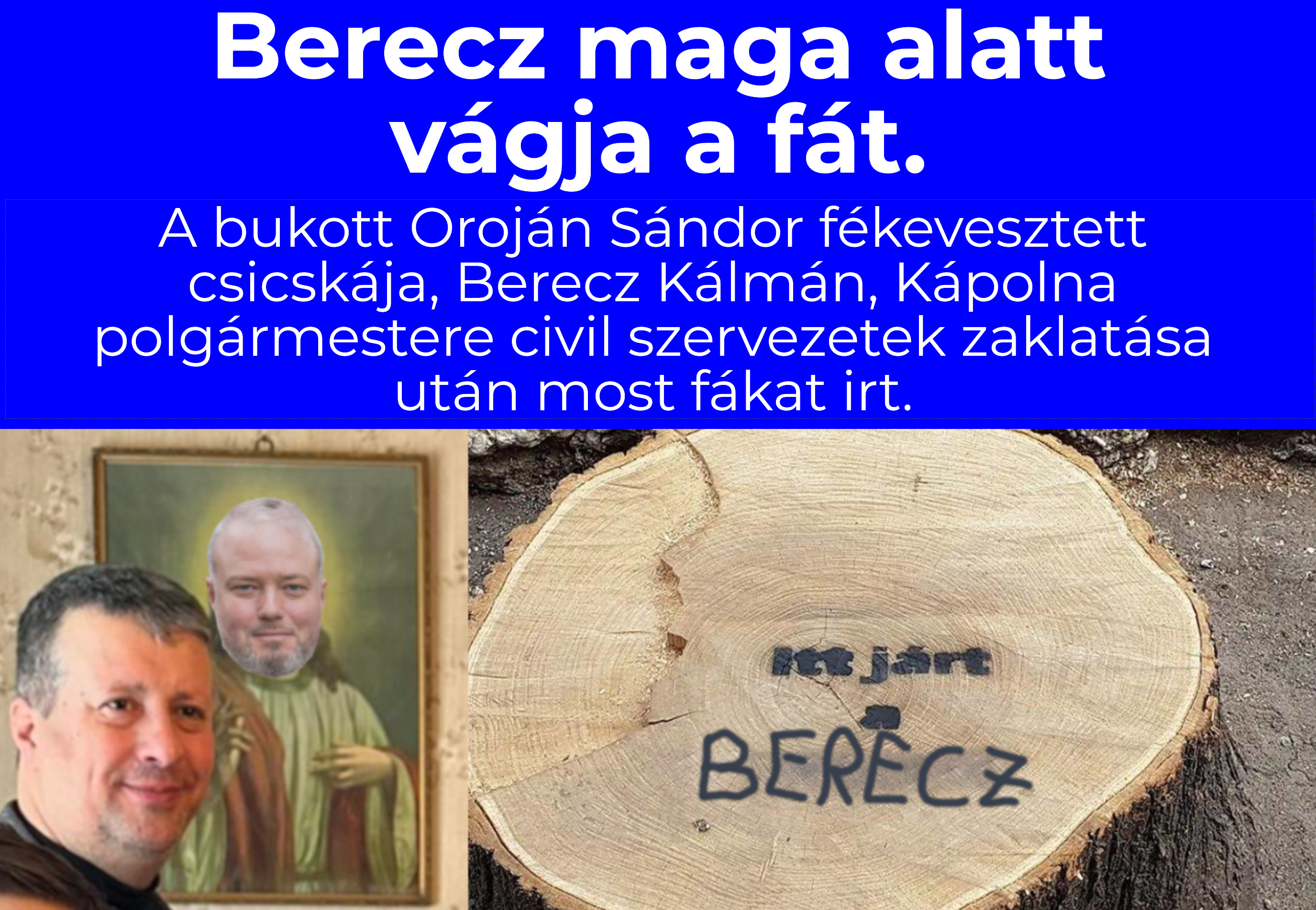 berecz_a_favago.jpg