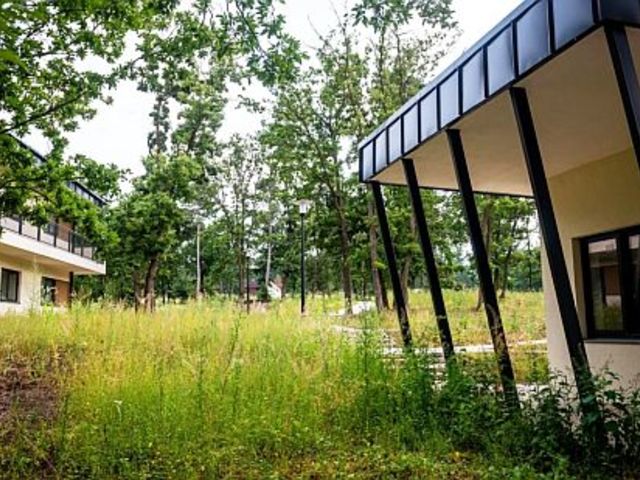 Mi lesz ebből, édösapám? [75.]