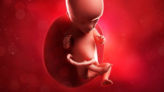 fetal-heartbeat-development-722x406.jpg