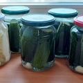 fermentálás (savanyítás)