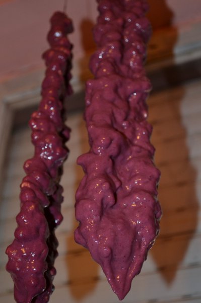 DSC_0607
