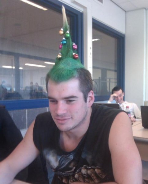 joke-funny-photo-Christmas-tree-haircut