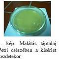 Sterilezés után kísérletezzünk!