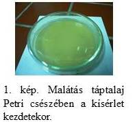 kép_3_szerk.jpg