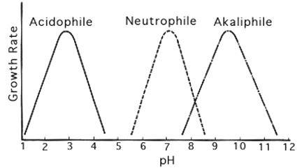 ph2.jpg