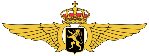 300px-belgian_air_component_wings_svg.png