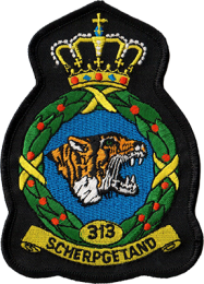 313sqn.png