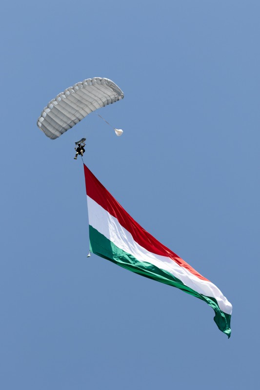 _org8894_2m.jpg