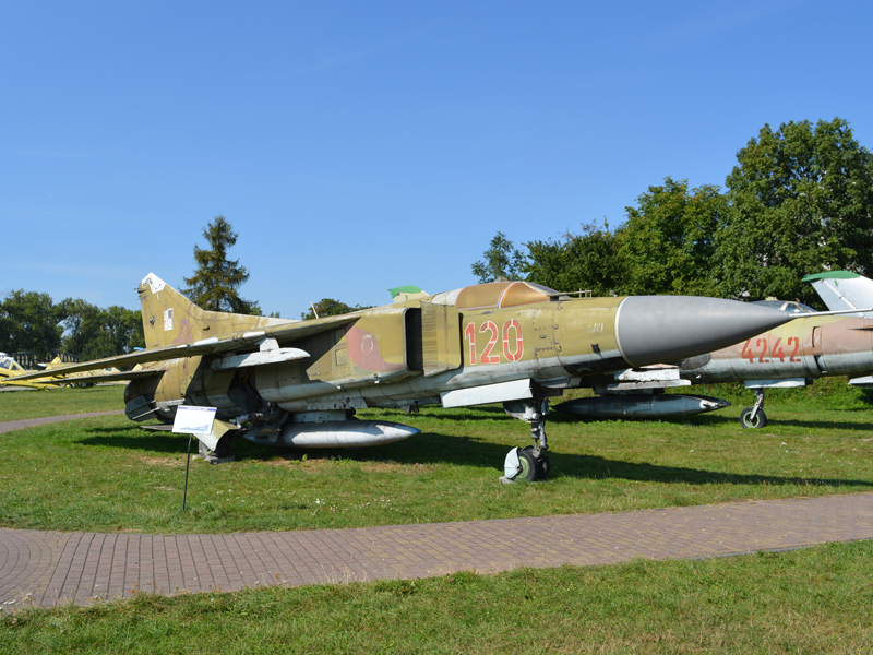 dsc_8919m.jpg