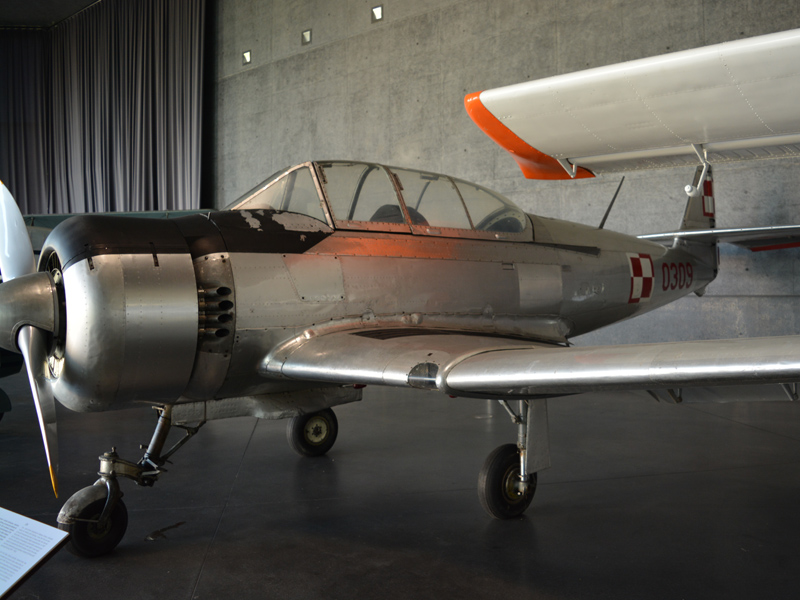 dsc_9155m.jpg