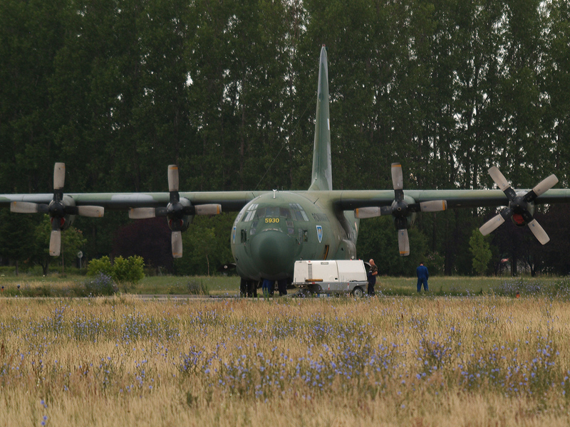 p6296572m_1.jpg