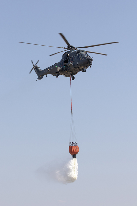 _org9019_2m.jpg